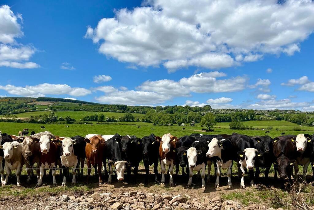 Вилла Tom Rocky'S Farmyard Темплмор Экстерьер фото